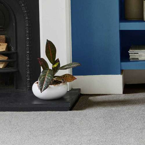 loseta Ciudadano Derecho Bargain Carpets in Ayrshire - Carpets Direct Ayr